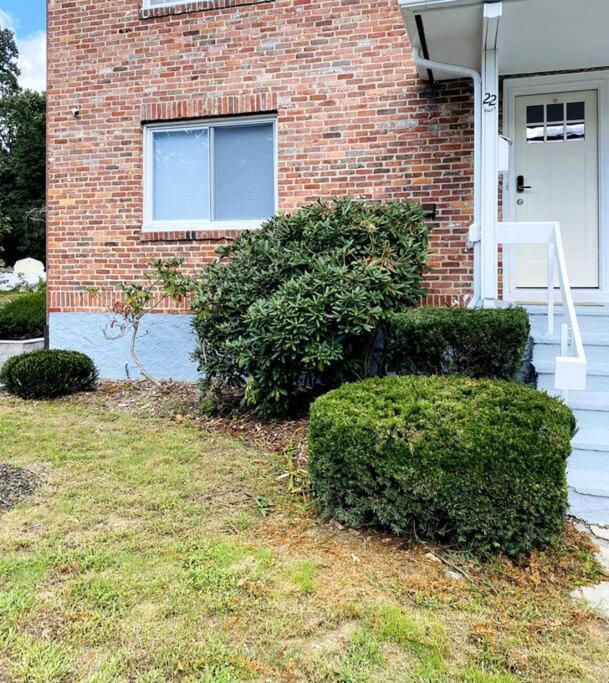 Cozy Boston Getaway Apartment! Free Parking Ngoại thất bức ảnh
