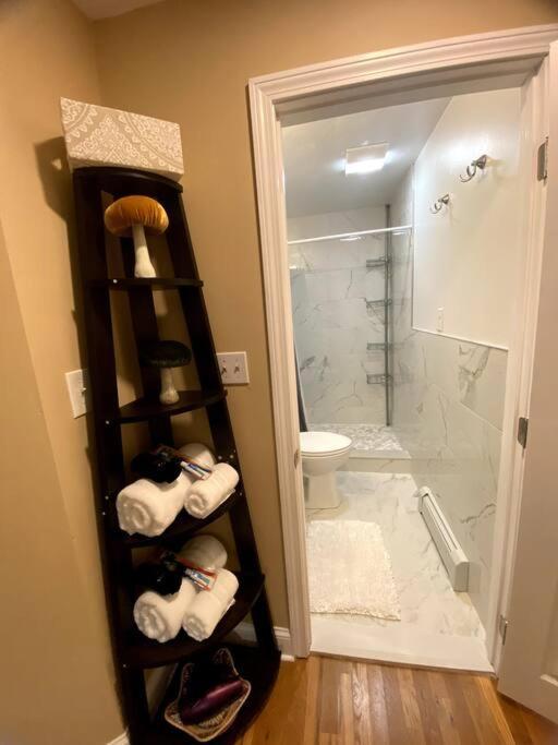 Cozy Boston Getaway Apartment! Free Parking Ngoại thất bức ảnh